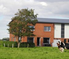 Germany Dithmarschen Oesterdeichstrich vacation rental compare prices direct by owner 4630798