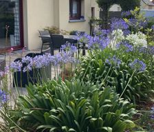 France Finistère Plounéventer vacation rental compare prices direct by owner 4818426