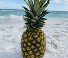 United States Florida Santa Rosa Beach vacation rental compare prices direct by owner 1800410