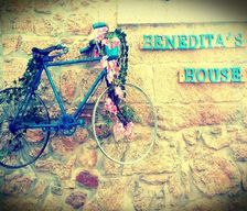 Portugal Castelo Branco Capinha vacation rental compare prices direct by owner 4710642