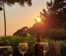 United States California Aptos vacation rental compare prices direct by owner 2514097