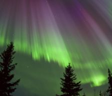 United States Alaska Fairbanks vacation rental compare prices direct by owner 3523704
