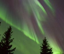 United States Alaska Fairbanks vacation rental compare prices direct by owner 3650889