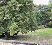 France Haute-Marne Arc-en-Barrois vacation rental compare prices direct by owner 4045652