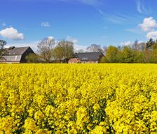Germany SH Neudorf-Bornstein vacation rental compare prices direct by owner 4090114