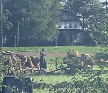 United States Pennsylvania PA, Leola vacation rental compare prices direct by owner 2528698