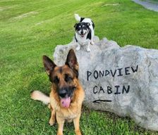 United States West Virginia Lewisburg vacation rental compare prices direct by owner 2851459