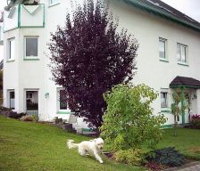 Germany Rhineland-Palatinate Alpenrod vacation rental compare prices direct by owner 3999862
