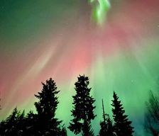 United States Alaska Girdwood vacation rental compare prices direct by owner 3177529