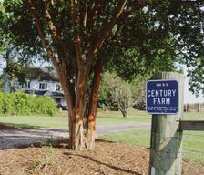 United States South Carolina Williamston vacation rental compare prices direct by owner 6742312