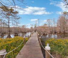 United States Louisiana Shreveport vacation rental compare prices direct by owner 11487773