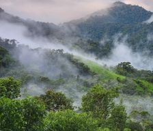 Ecuador Pichincha Nanegal vacation rental compare prices direct by owner 9487393