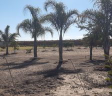 Zimbabwe Harare Province Ruwa Damafalls vacation rental compare prices direct by owner 9471317