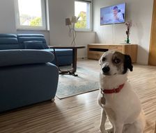 Germany BW Weingarten (Baden) vacation rental compare prices direct by owner 9886154