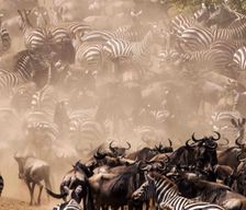 Kenya Narok Narok vacation rental compare prices direct by owner 9882819