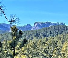 United States South Dakota Keystone vacation rental compare prices direct by owner 11021952