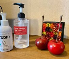 Japan Tokyo Nerima-ku vacation rental compare prices direct by owner 15275001