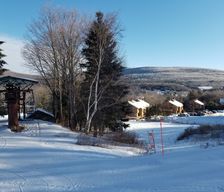 United States New York Hunter vacation rental compare prices direct by owner 24955092