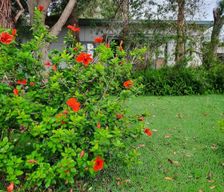 Australia NSW Currarong vacation rental compare prices direct by owner 11704952