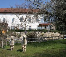 Germany Thüringen Dornburg-Camburg vacation rental compare prices direct by owner 12220737
