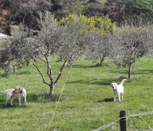 France Vaucluse Puget vacation rental compare prices direct by owner 12197662