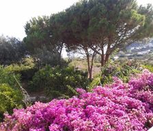Italy  FILICUDI vacation rental compare prices direct by owner 34891979