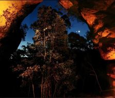 Australia NSW Dargan vacation rental compare prices direct by owner 33278199