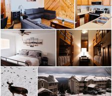 United States West Virginia Snowshoe vacation rental compare prices direct by owner 24903441