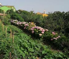 Italy Provincia di Sassari Villanova Monteleone vacation rental compare prices direct by owner 25191728