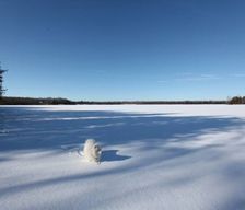 Canada Ontario Kawartha Lakes vacation rental compare prices direct by owner 29853444