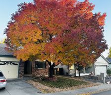 United States Colorado Longmont vacation rental compare prices direct by owner 25258388
