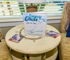United States Washington Ocean Shores vacation rental compare prices direct by owner 25247514