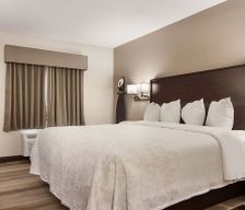 United States Pennsylvania Erie vacation rental compare prices direct by owner 25240302