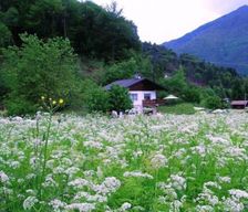 Italy Trento Lombardia Ledro vacation rental compare prices direct by owner 25274071