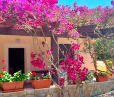Italy Provincia di Foggia Rodi Garganico vacation rental compare prices direct by owner 33325392