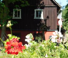 Germany  Bad Gottleuba-Berggießhübel vacation rental compare prices direct by owner 26917266