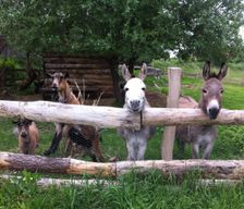 Germany BB Nennhausen vacation rental compare prices direct by owner 33257586