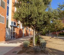 Spain Castellón El Grao de Castellón vacation rental compare prices direct by owner 36515195