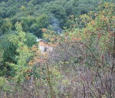 Bulgaria Pazardzhik Debrashtitsa vacation rental compare prices direct by owner 25210666