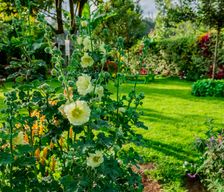 Kenya Embu County Embu vacation rental compare prices direct by owner 25196013