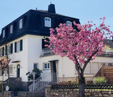 Germany HE Geisenheim vacation rental compare prices direct by owner 28281365