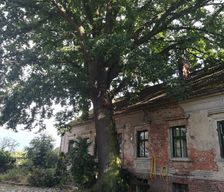 Germany BB Letschin vacation rental compare prices direct by owner 29068973