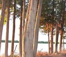Canada Ontario wairton vacation rental compare prices direct by owner 33312845