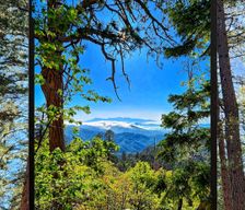United States California Running Springs vacation rental compare prices direct by owner 28963772