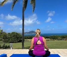Saint Kitts and Nevis  Newcastle vacation rental compare prices direct by owner 33283206