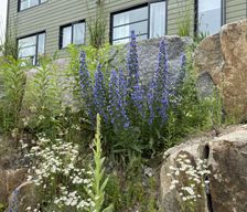 Canada Quebec Wakefield vacation rental compare prices direct by owner 33273530
