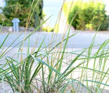 Germany Schleswig-Holstein Glücksburg (Ostsee) vacation rental compare prices direct by owner 26625451