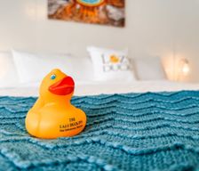 United States Montana West Yellowstone vacation rental compare prices direct by owner 28859312