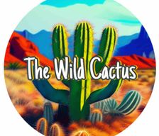 United States Texas Lubbock vacation rental compare prices direct by owner 27167401