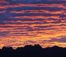 United States New Mexico Las Cruces vacation rental compare prices direct by owner 251039